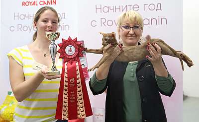 �������� ����� 14-15 ������ 2015 WCF-����� 5-181-169A1379.jpg