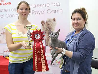 �������� ����� 14-15 ������ 2015 WCF-����� 6-196-169A1397.jpg