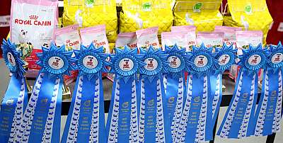 �������� ����� 14-15 ������ 2015 WCF-����� 11-169A2606.jpg