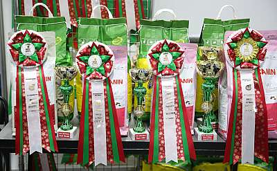 �������� �����  5-6 ������� 0-169A9333.jpg