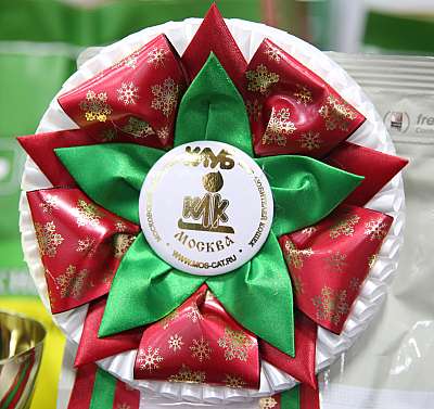 �������� �����  5-6 ������� 0-169A9388.jpg