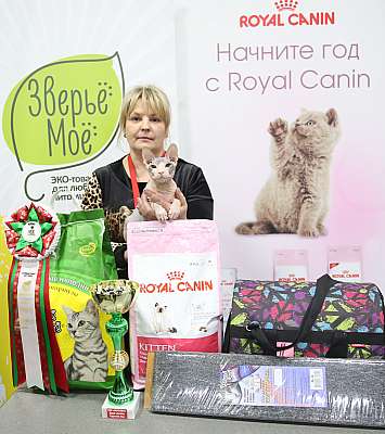 �������� �����  5-6 ������� 12-181-169A9396.jpg