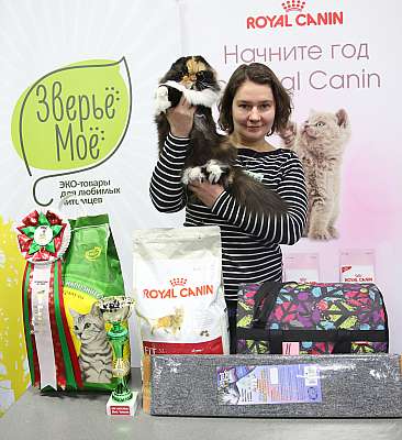 �������� �����  5-6 ������� 17-64-169A9357.jpg