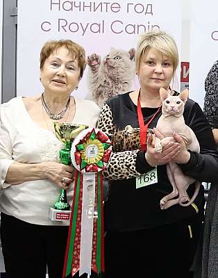 �������� �����  5-6 ������� 4-168-169A9433_1.jpg