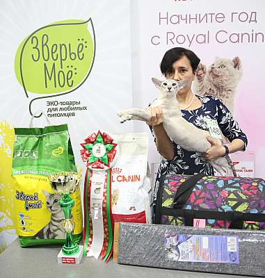 �������� �����  5-6 ������� 7-148-169A9428.jpg