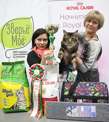 �������� �����  5-6 ������� 8-43-169A9415.jpg