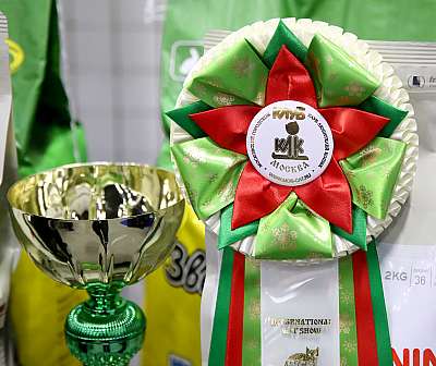 �������� �����  5-6 �������  0-169A0934.jpg