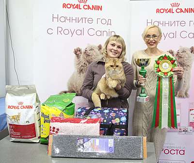 �������� �����  5-6 �������  1-172-169A1034.jpg