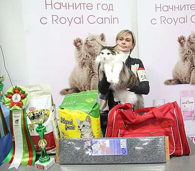 �������� �����  5-6 �������  12-58-169A0950.jpg