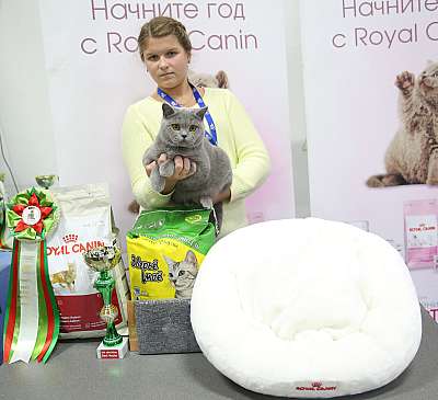 �������� �����  5-6 �������  16-187-169A0905.jpg