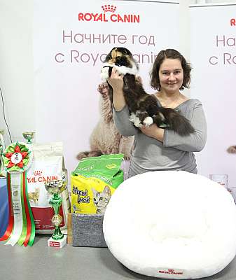 �������� �����  5-6 �������  17-164-169A0902.jpg