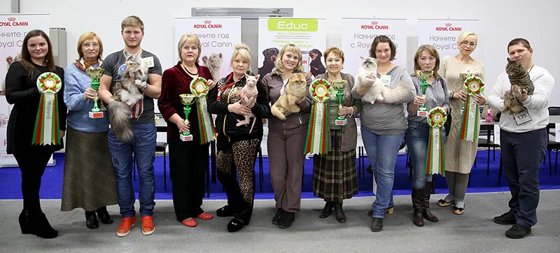 �������� �����  5-6 �������  �������� �����  5-6 ������� 18-169A9433.jpg