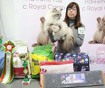 �������� �����  5-6 �������  9-72-169A0969.jpg