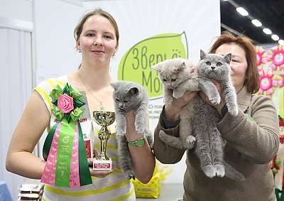 �������� ����� 5-6 ������� 2015  ������������ ��� bri-7-82-169A8898.jpg