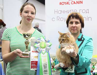 �������� ����� 5-6 ������� 2015  ������������ ��� kbl-3-55-169A9869.jpg