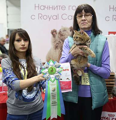 �������� ����� 5-6 ������� 2015  ������������ ��� scs-5-137-169A9904.jpg