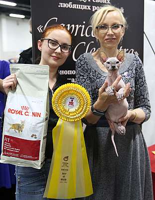 �������� ����� 5-6 ������� 2015  ������������ ��� sph-1-186-169A8028.jpg