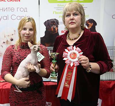 �������� ����� 5-6 ������� 2015 WCF-�����  10-167-169A9194.jpg