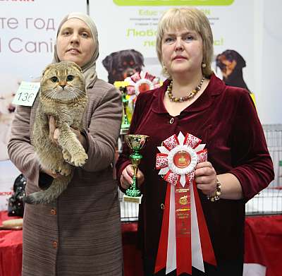 �������� ����� 5-6 ������� 2015 WCF-�����  3-136-169A9169.jpg