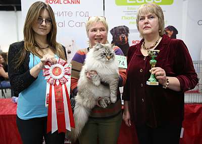 �������� ����� 5-6 ������� 2015 WCF-�����  4-174-169A9189.jpg