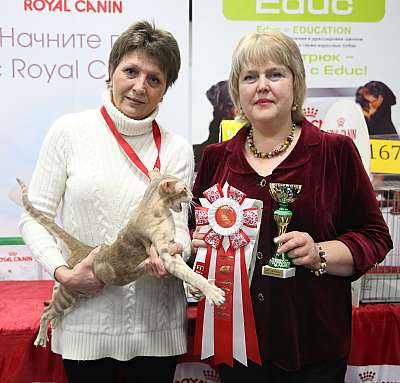 �������� ����� 5-6 ������� 2015 WCF-�����  7-143-169A9179.jpg