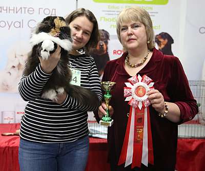 �������� ����� 5-6 ������� 2015 WCF-�����  9-64-169A9197.jpg