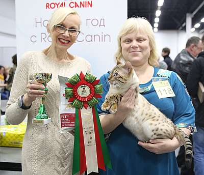 �������� ����� 5-6 ������� 2015 WCF-�����  10-118-169A0585.jpg