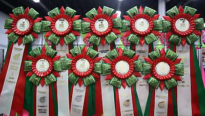 �������� ����� 5-6 ������� 2015 WCF-�����  169A7737.jpg