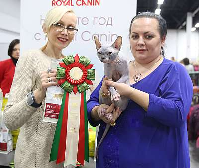 �������� ����� 5-6 ������� 2015 WCF-�����  3-151-169A0573.jpg