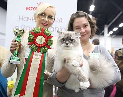 �������� ����� 5-6 ������� 2015 WCF-�����  4-68-169A0581.jpg