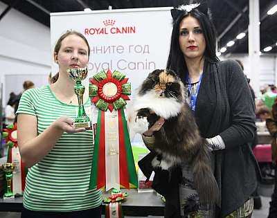 �������� ����� 5-6 ������� 2015 WCF-�����  9-64-169A0563.jpg