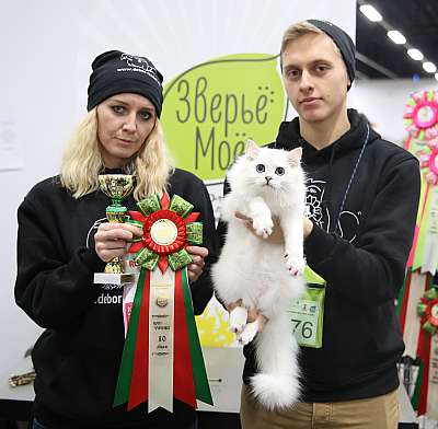 �������� ����� 5-6 ������� 2015 WCF-�����  10-176-169A8586.jpg