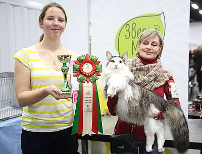 �������� ����� 5-6 ������� 2015 WCF-�����  6-58-169A8570.jpg