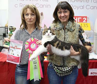 �������� ����� 5-6 ������� 2015 WCF-�����  10-42-169A0396.jpg