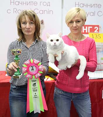 �������� ����� 5-6 ������� 2015 WCF-�����  4-107-169A0391.jpg