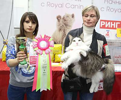 �������� ����� 5-6 ������� 2015 WCF-�����  5-58-169A0376.jpg