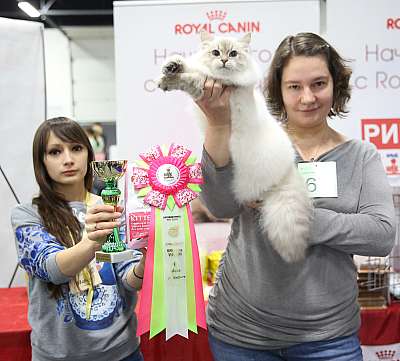 �������� ����� 5-6 ������� 2015 WCF-�����  6-67-169A0383.jpg