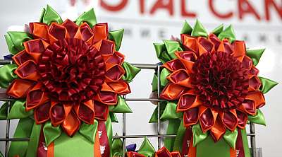 �������� �����  16-17 ������  2016 �. 0-169A1997.jpg