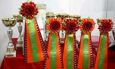 �������� �����  16-17 ������  2016 �. 0-169A3453.jpg