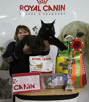 �������� �����  16-17 ������  2016 �. 14-30-169A3467.jpg