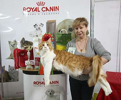 �������� �����  16-17 ������  2016 �. 4-18-169A3530.jpg