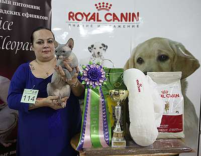 �������� �����  16-17 ������  2016 �. 2-114-169A4972.jpg