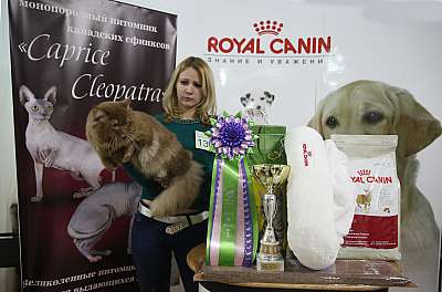 �������� �����  16-17 ������  2016 �. 4-130-169A4979.jpg