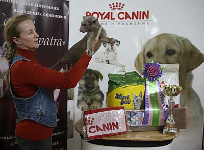 �������� �����  16-17 ������  2016 �. 5-109-169A4959.jpg