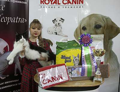 �������� �����  16-17 ������  2016 �. 7-144-169A4950.jpg