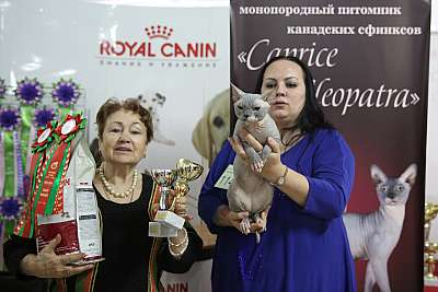 �������� �����  16-17 ������  2016 �. 1-114-169A3777.jpg