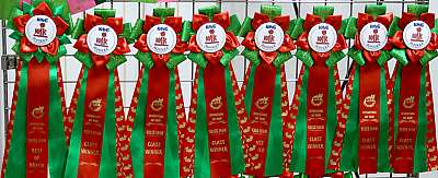 �������� �����  16-17 ������  2016 �. 169A1992.jpg