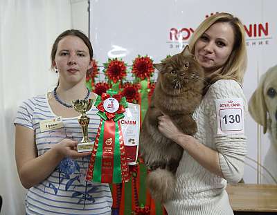 �������� �����  16-17 ������  2016 �. 2-130-169A2912.jpg