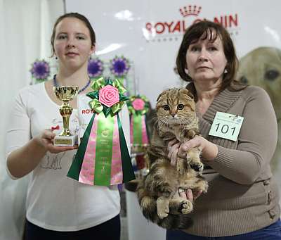 �������� �����  16-17 ������  2016 �. 6-101-169A4310.jpg