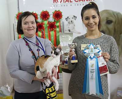 �������� �����  16-17 ������  2016 �. 2-84-169A2737.jpg